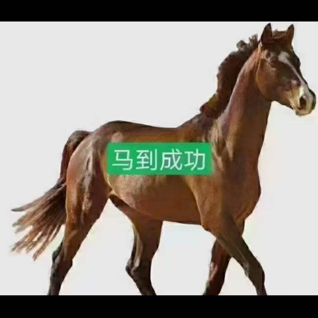 新莲1