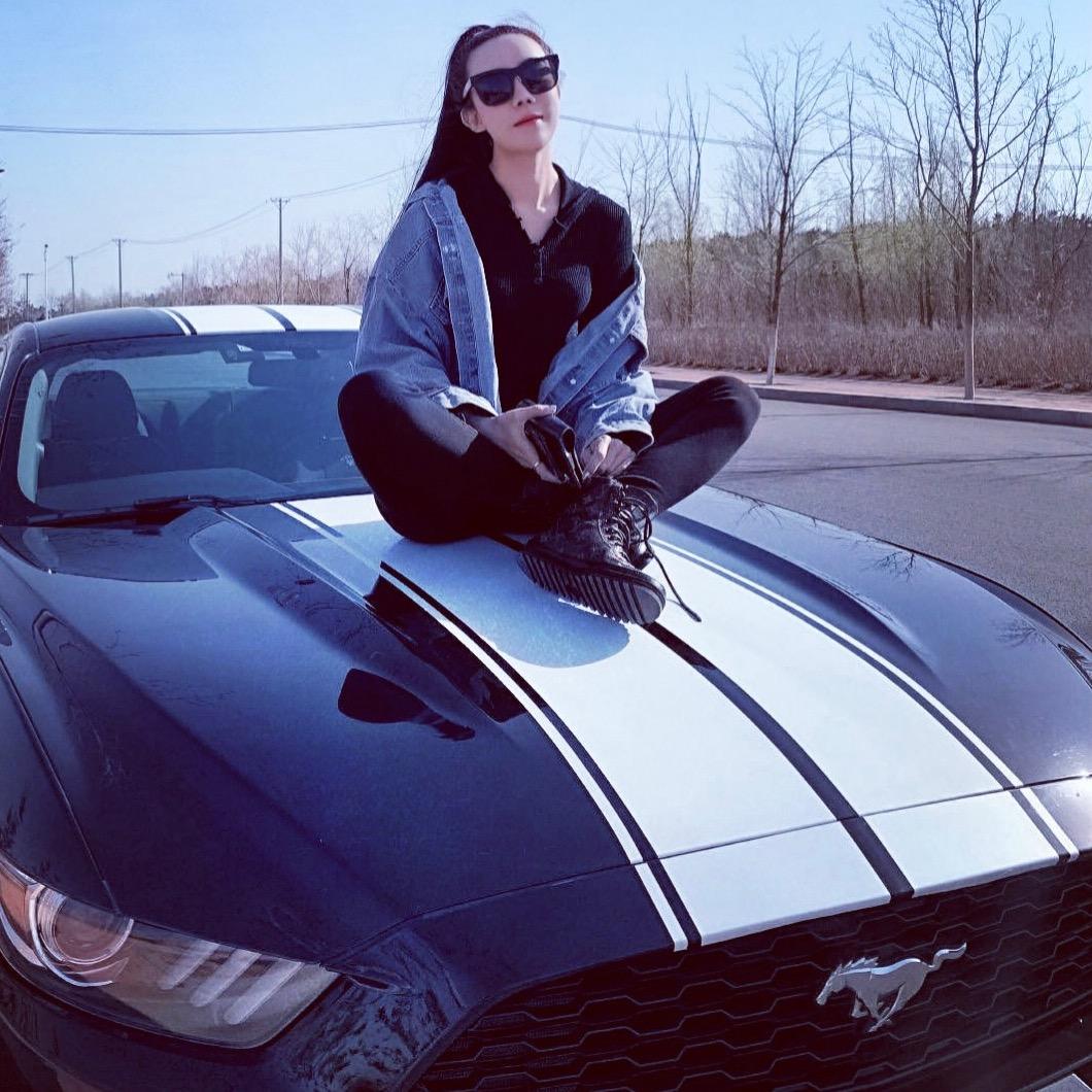 宠物洗护师Modern