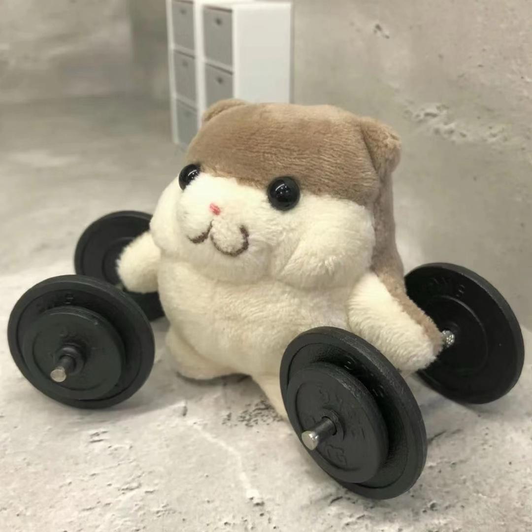 拾力氧舱游泳健身 xun