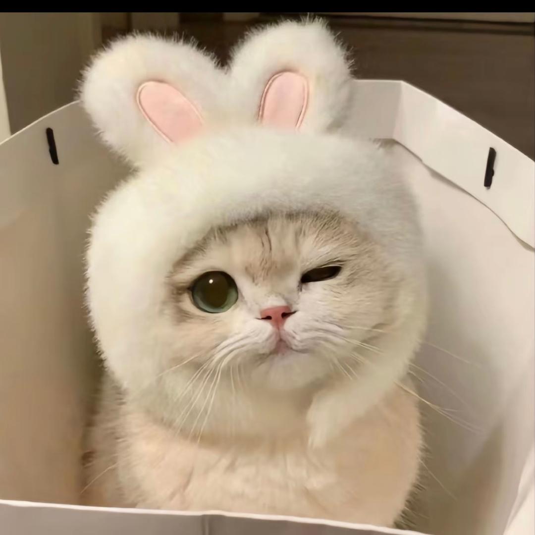 Z。。。