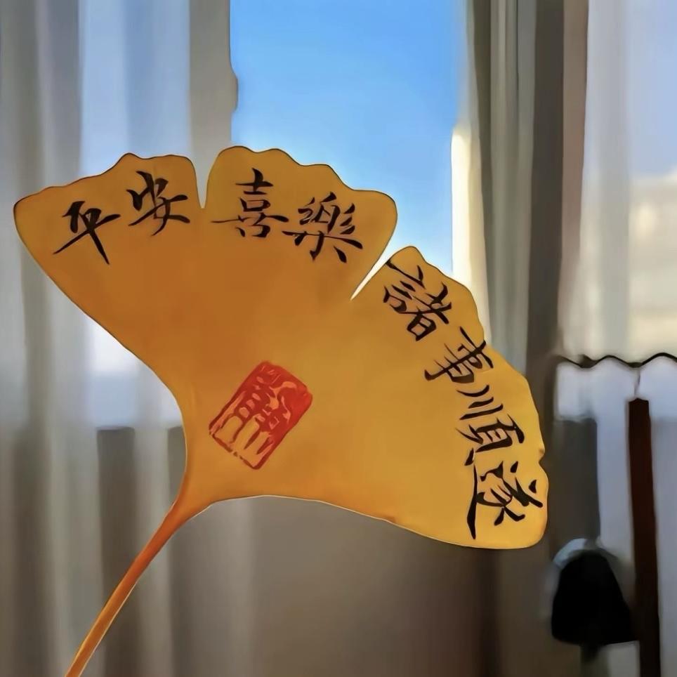 梦幻地毯优选