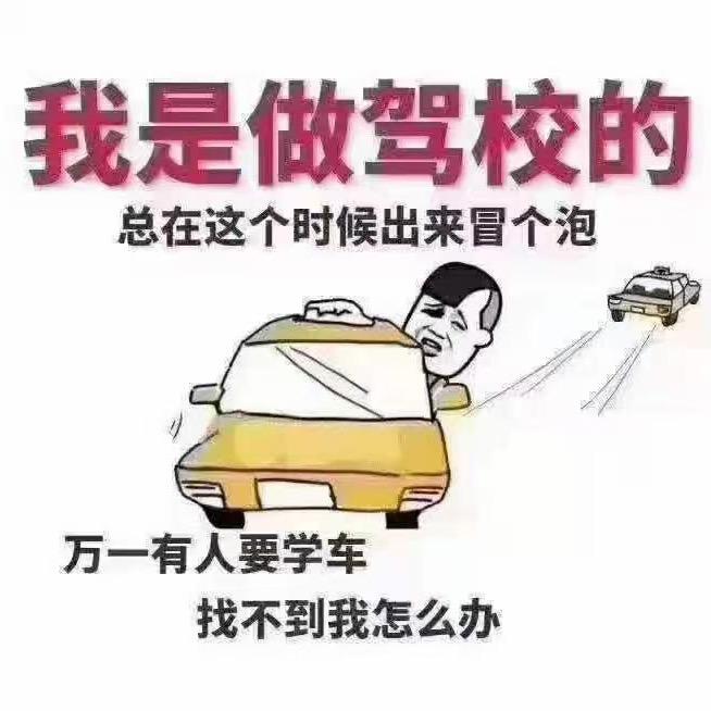 学车找我