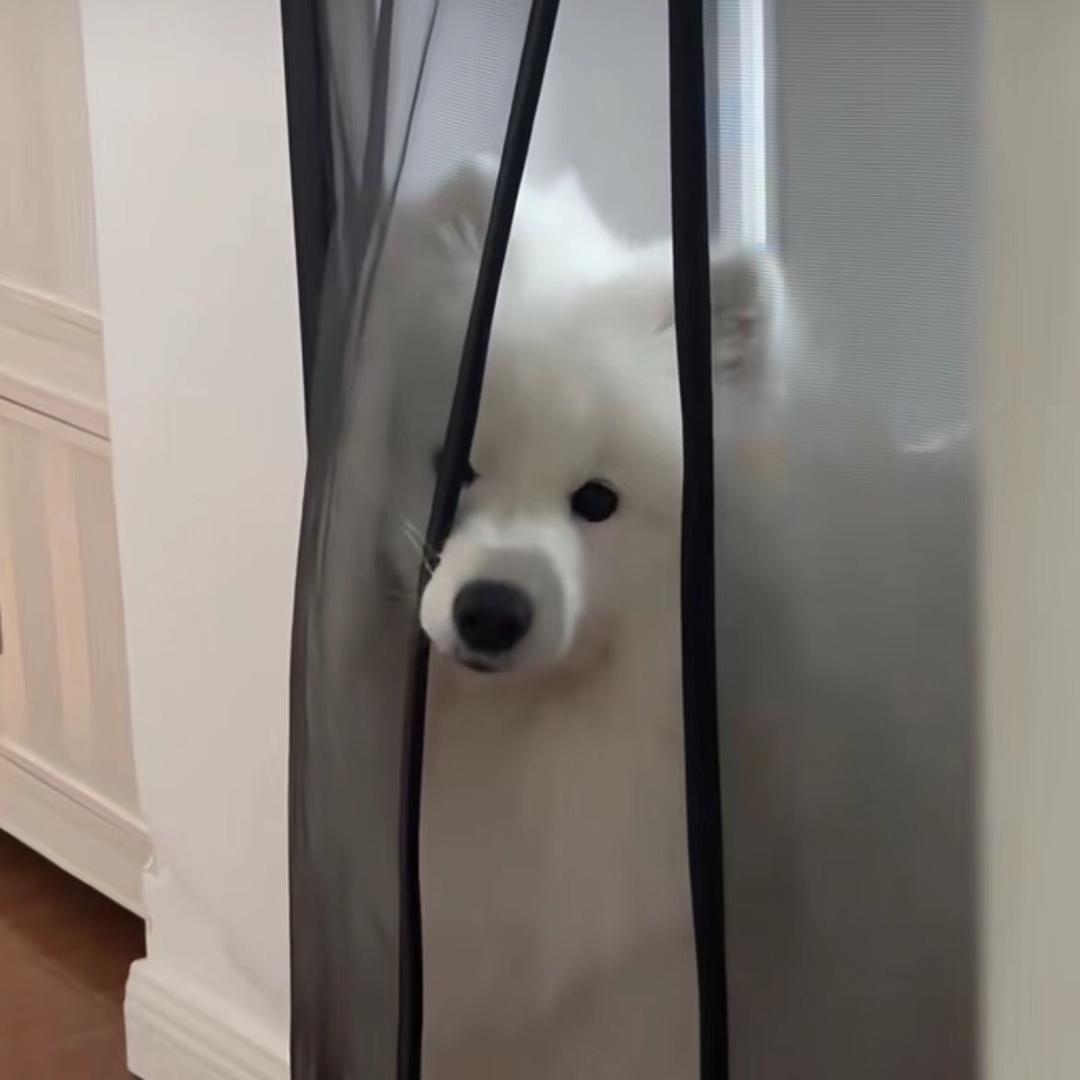 真纠结.