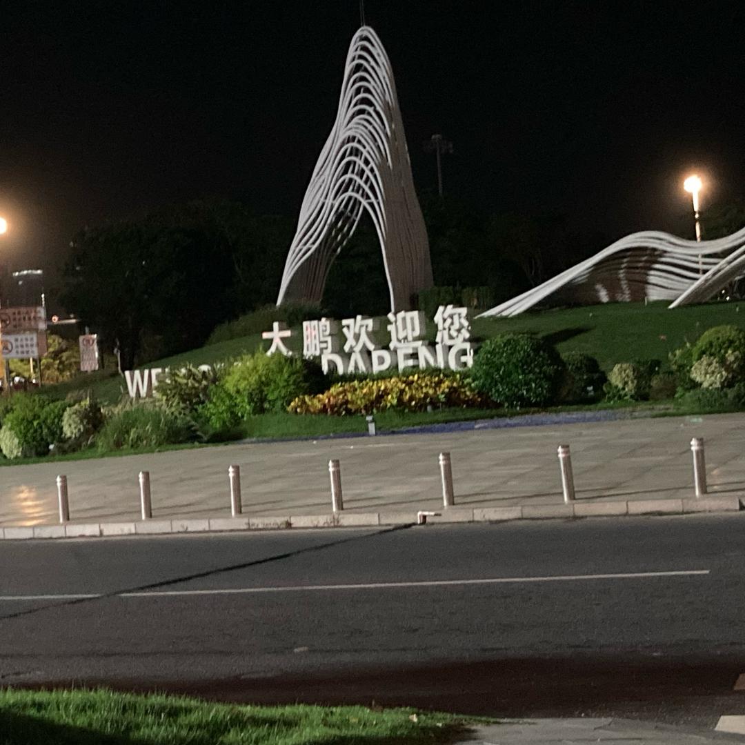 深圳美缝镀膜艺术漆～江师傅