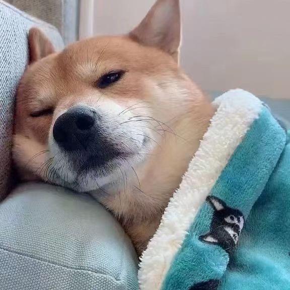 晓时候