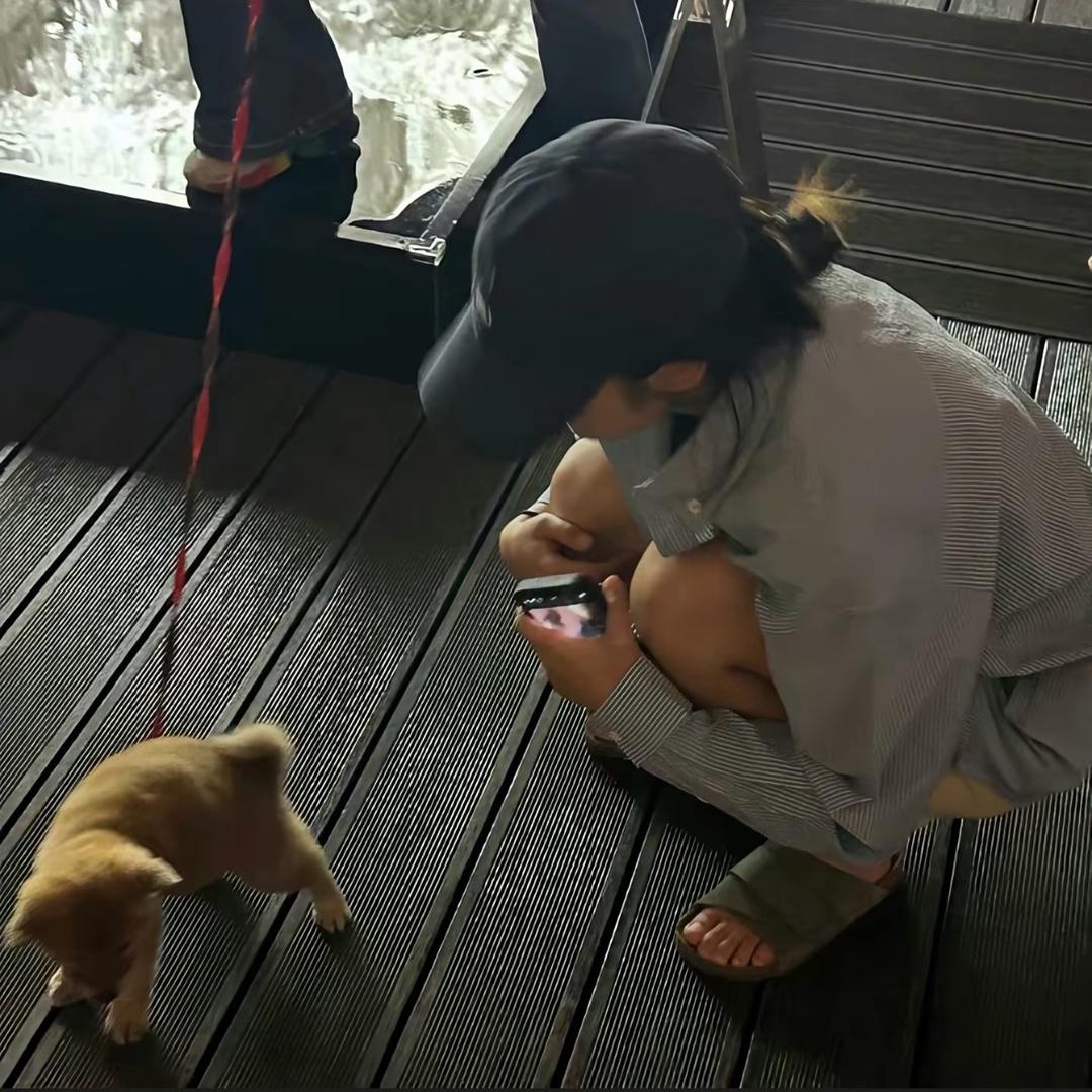 M婷