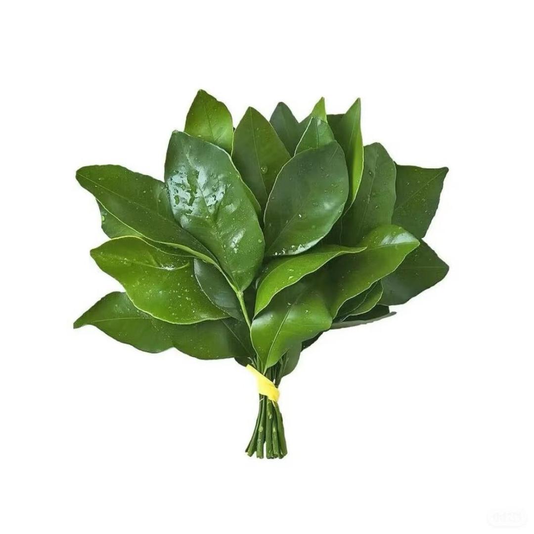 峰了是么-