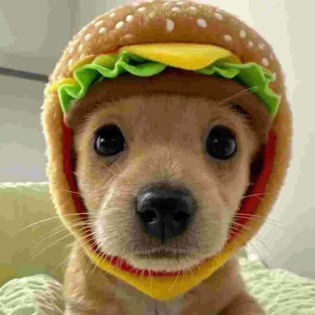 我是一块小玻璃