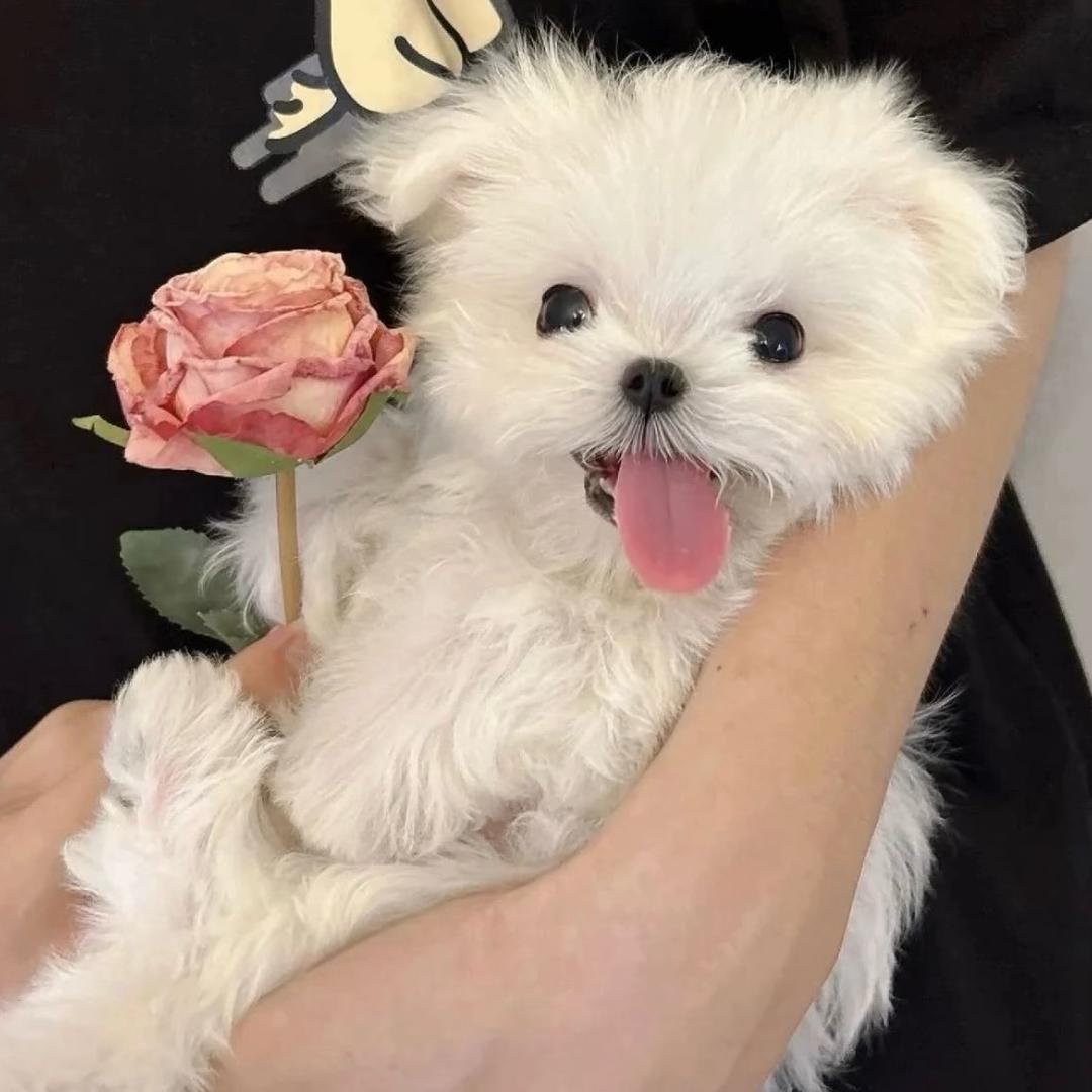 当阳市潘珉奎咨询服务工作室（个体工商户）