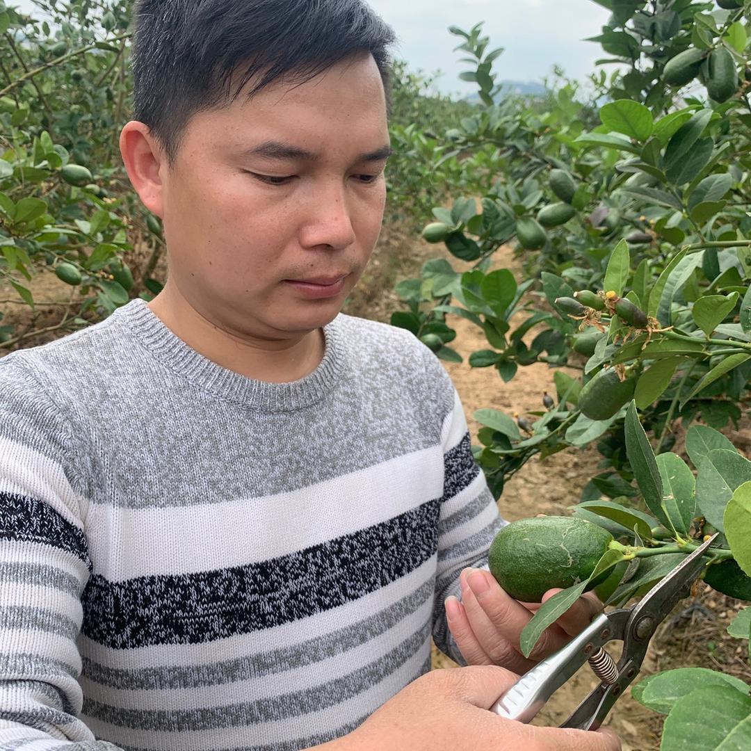 馋猪果蔬
