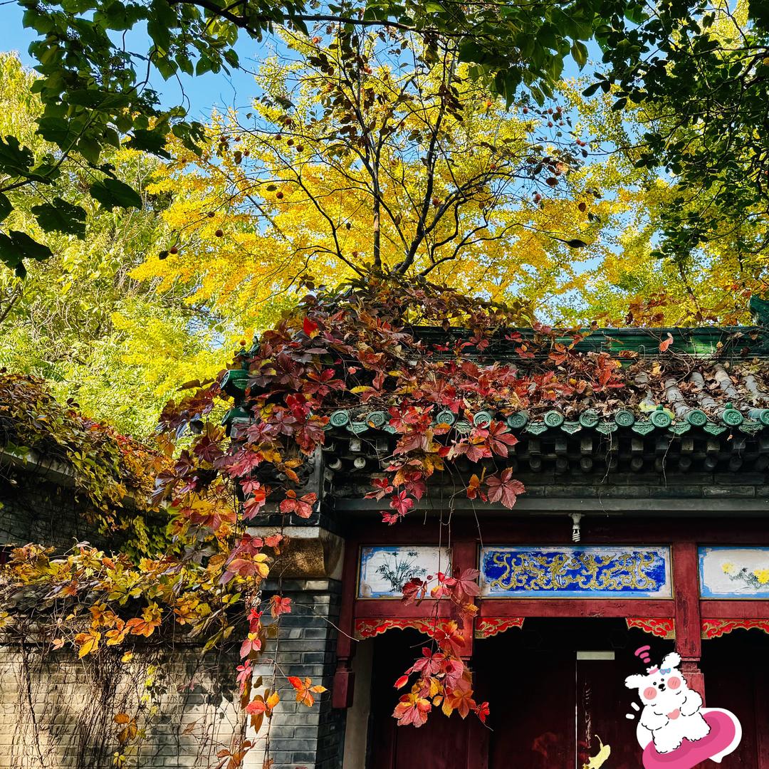 花成花 树成树