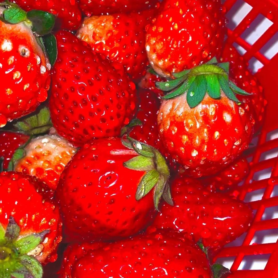 小迪说草莓🍓