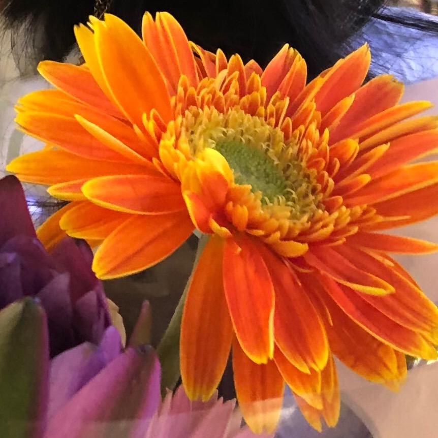 只能和正常人交流（不收徒）