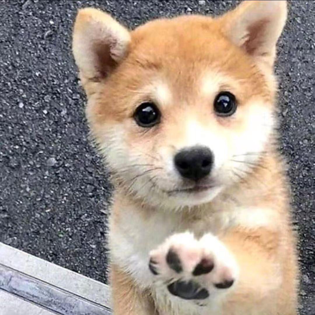 伢子
