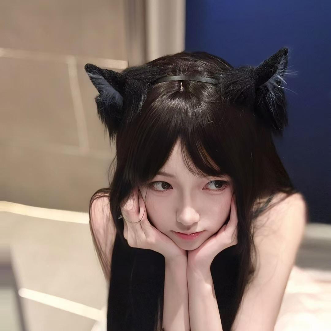 小猫呆呆