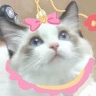 李雷双双loveU