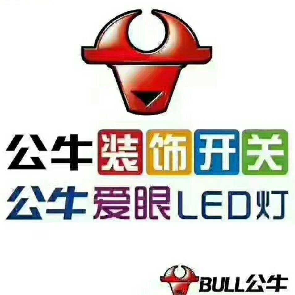 淮北濉溪公牛装饰开关总经销