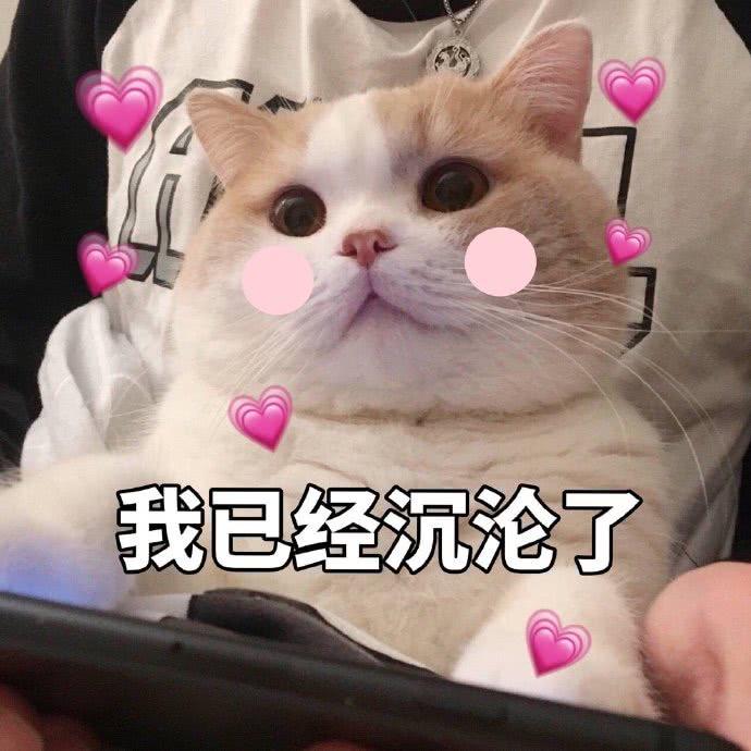 你知道有个神兽叫哈哈吗