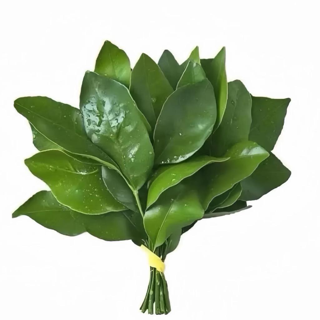 卷毛小泡面