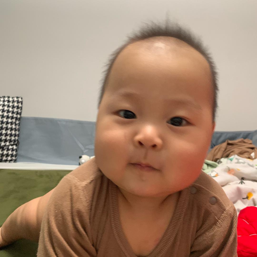 胖丸子