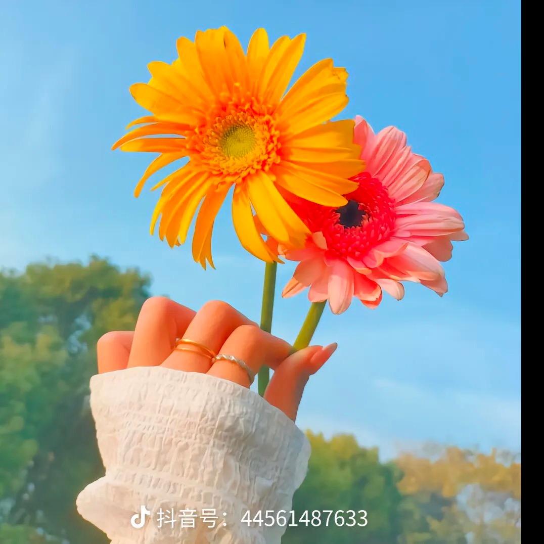 青少年活动中心「演讲与口才」