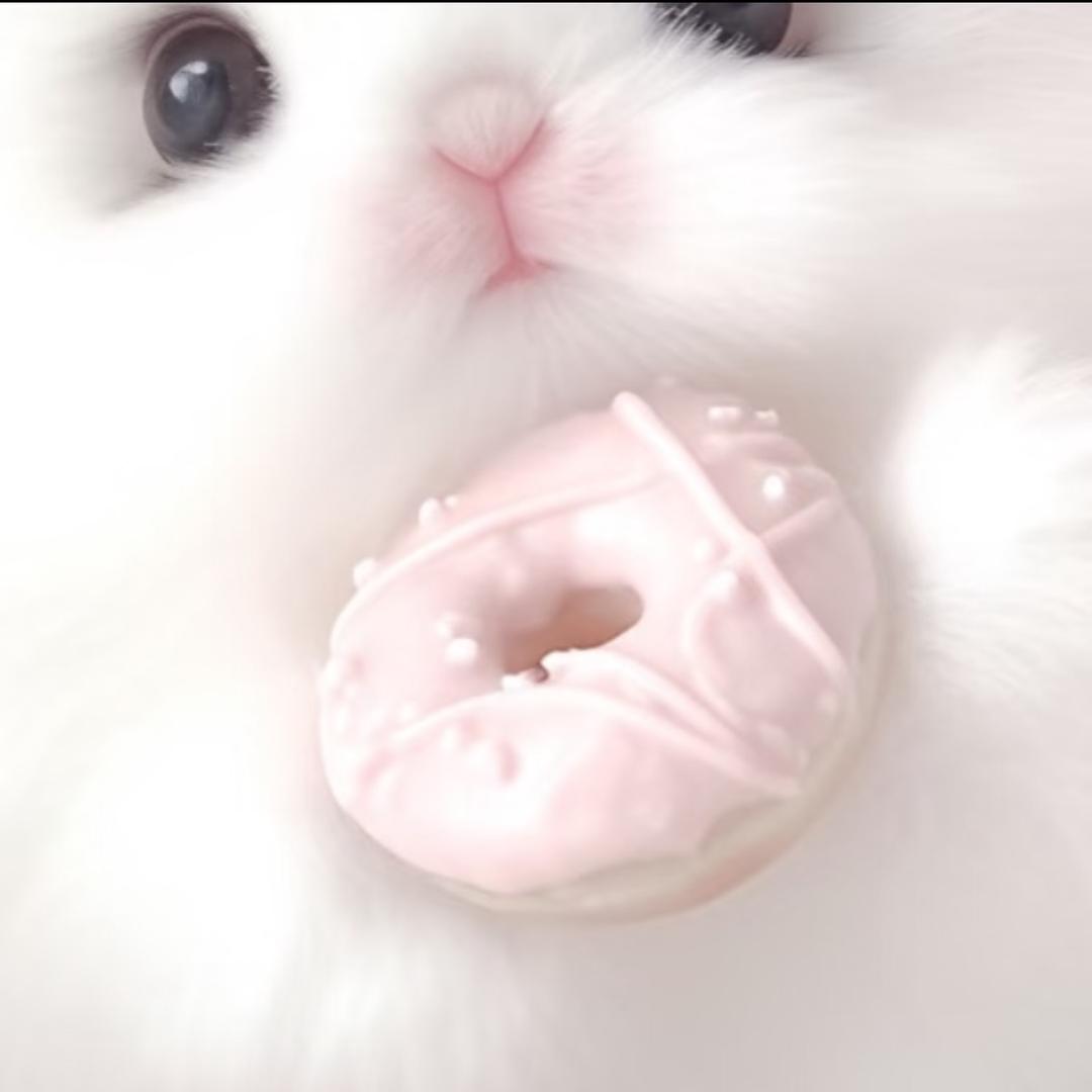 星泽大帝（102段发育路）