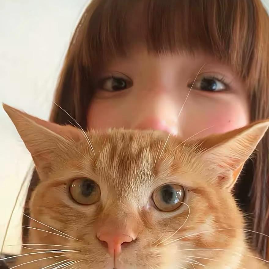好梦