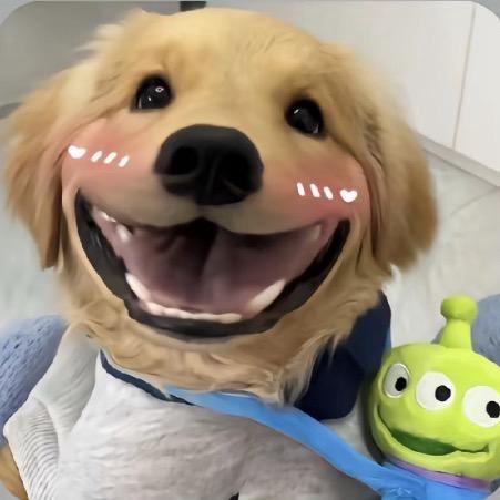 凌云志^（万般努力）