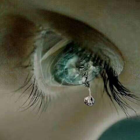 傻丫头