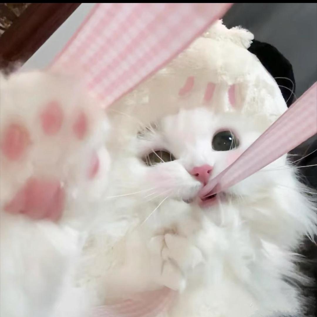 두서하