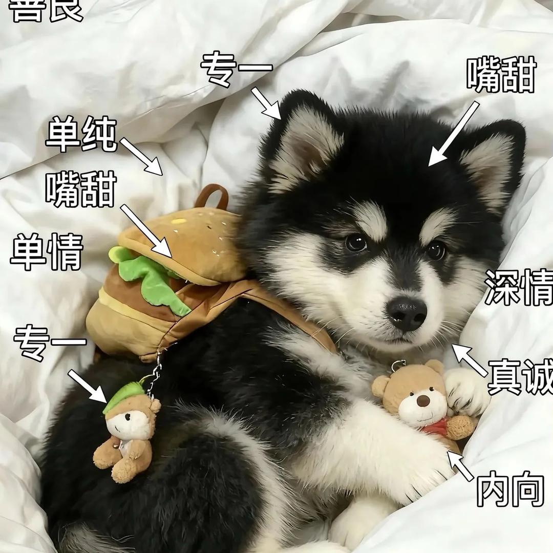 you熊