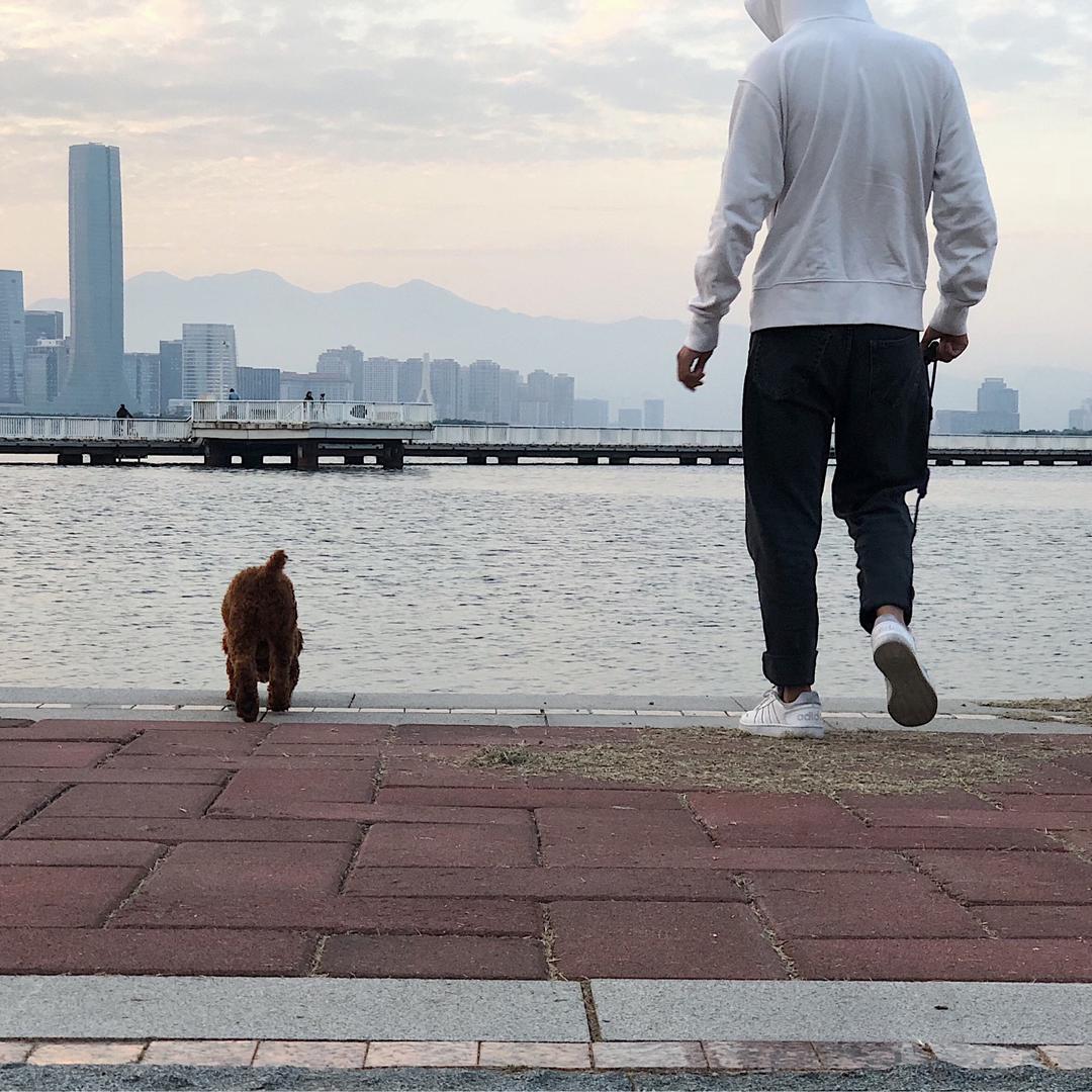 网约车J师傅