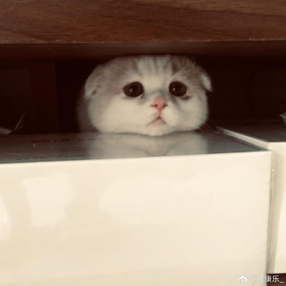 >_<