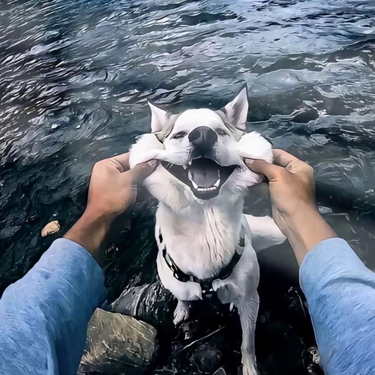 腻豪