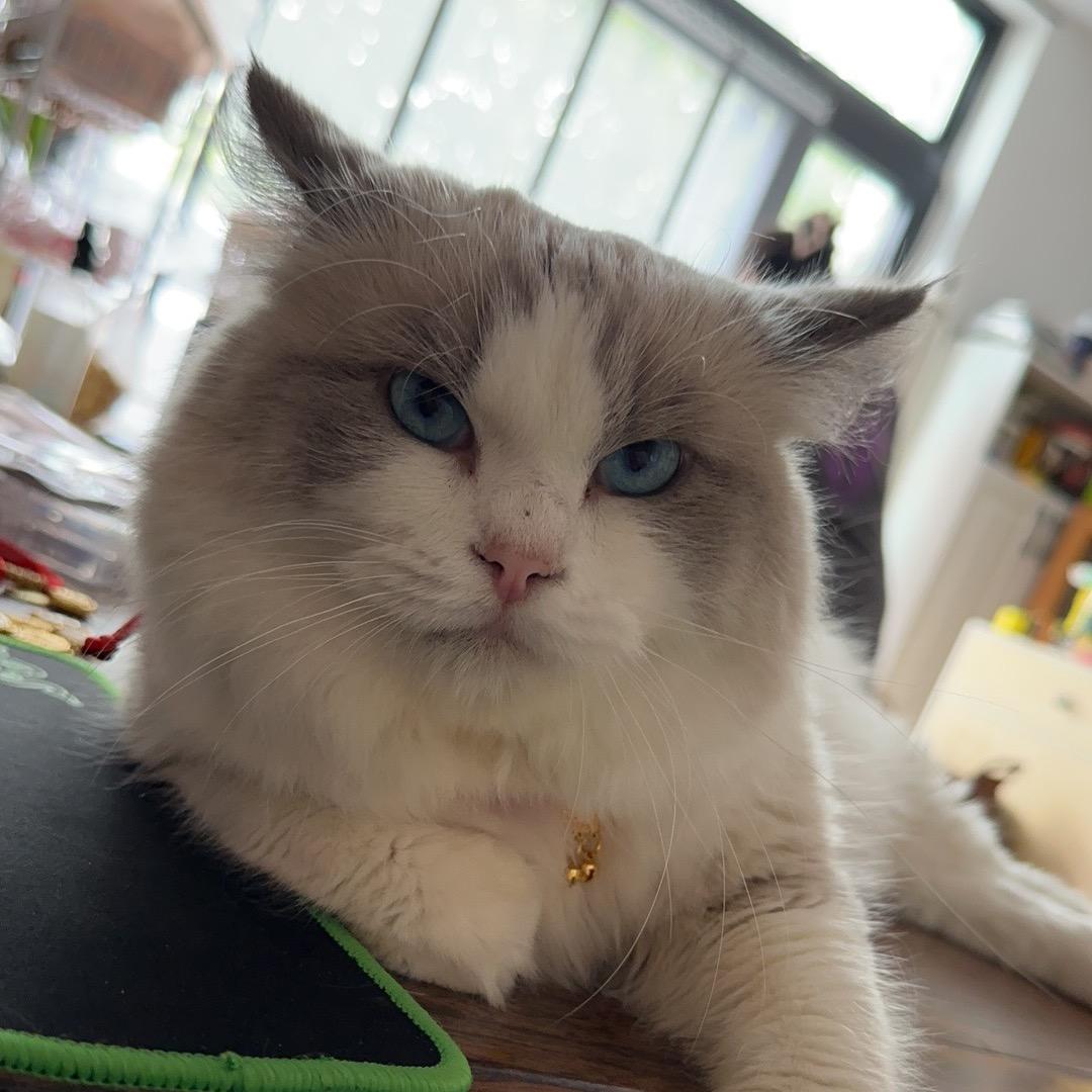@钱钱来了