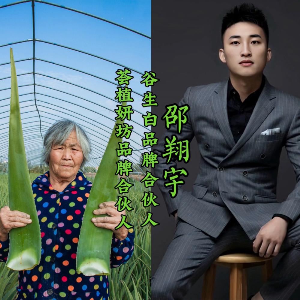 晓宇芦荟种植基地