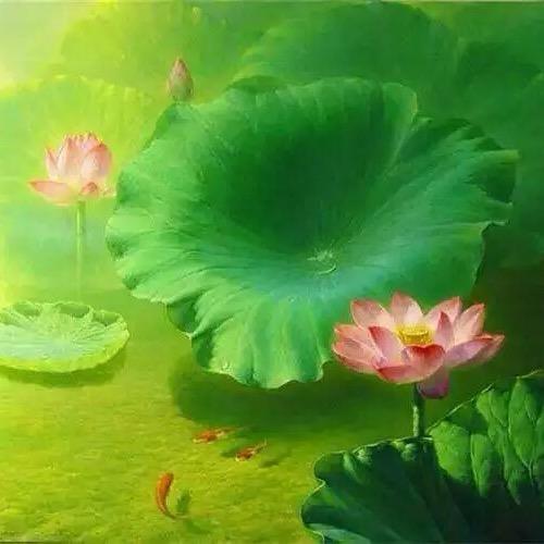 格格❤️