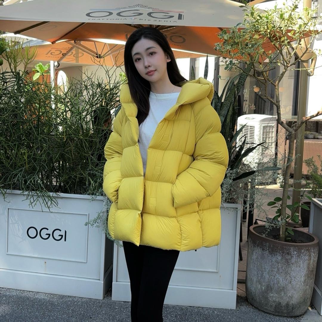 云袖顶奢鹅绒（羽风舞）