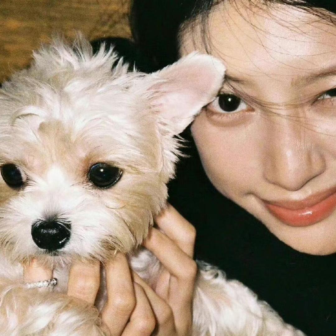 干了这杯酸奶🥛