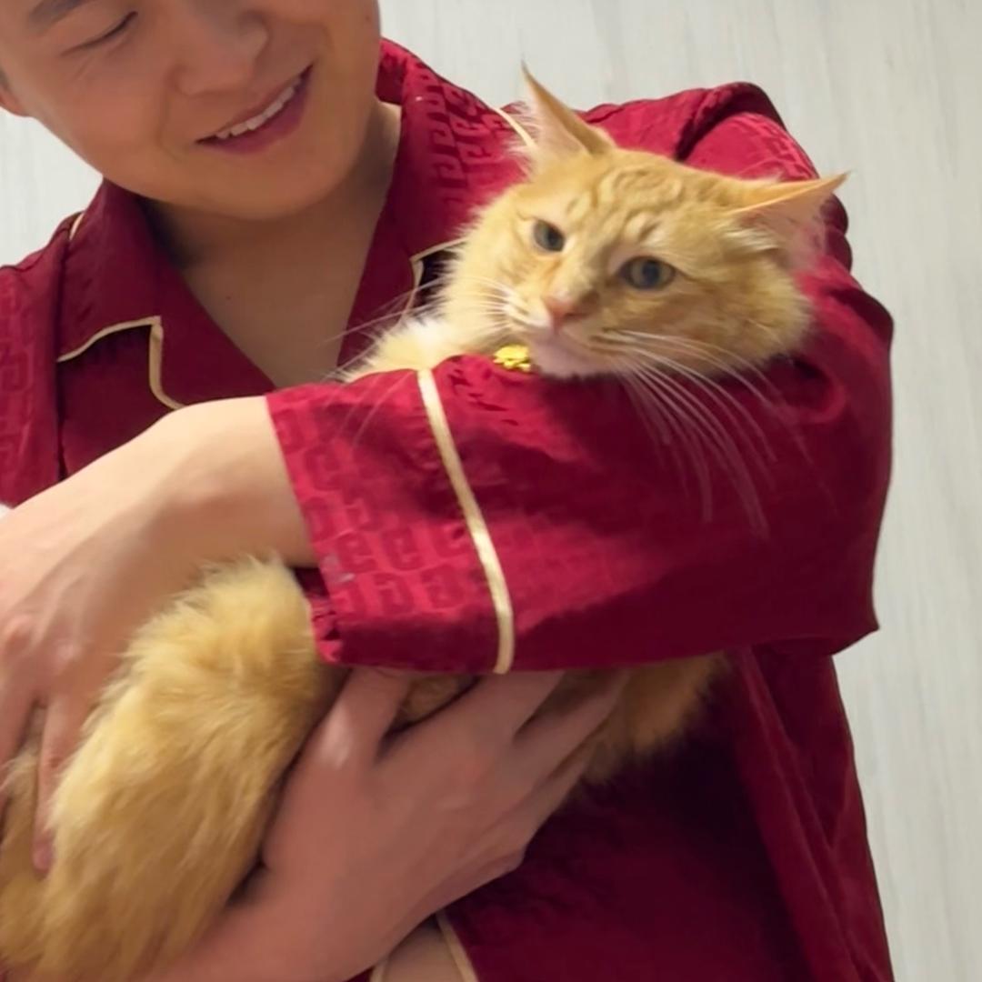 芋圆北游记