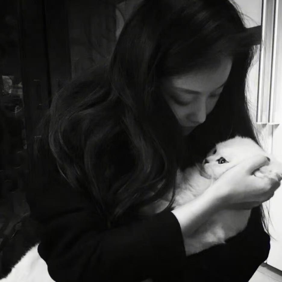 海豚声乐君君君