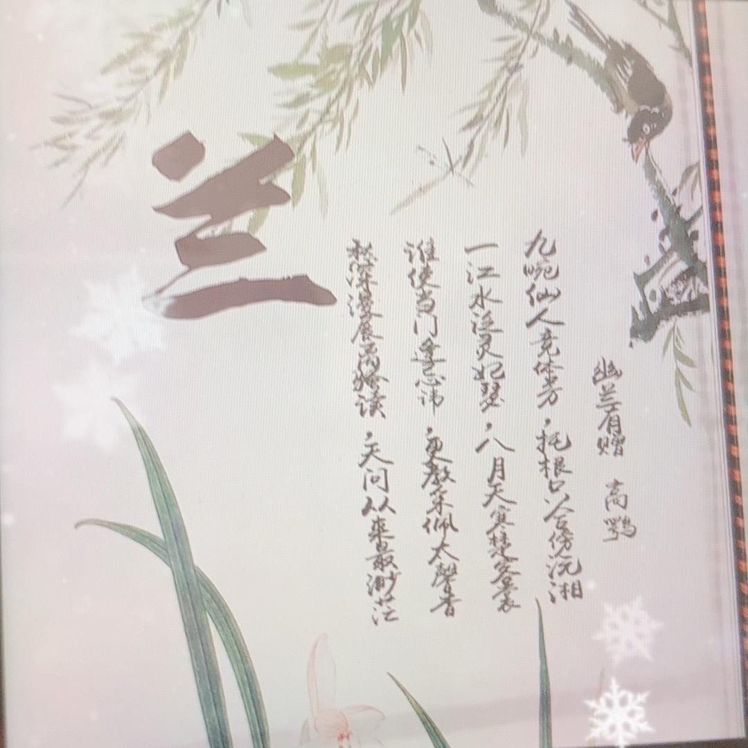 青乌子