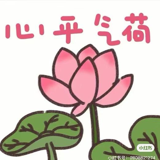 我才是专业的