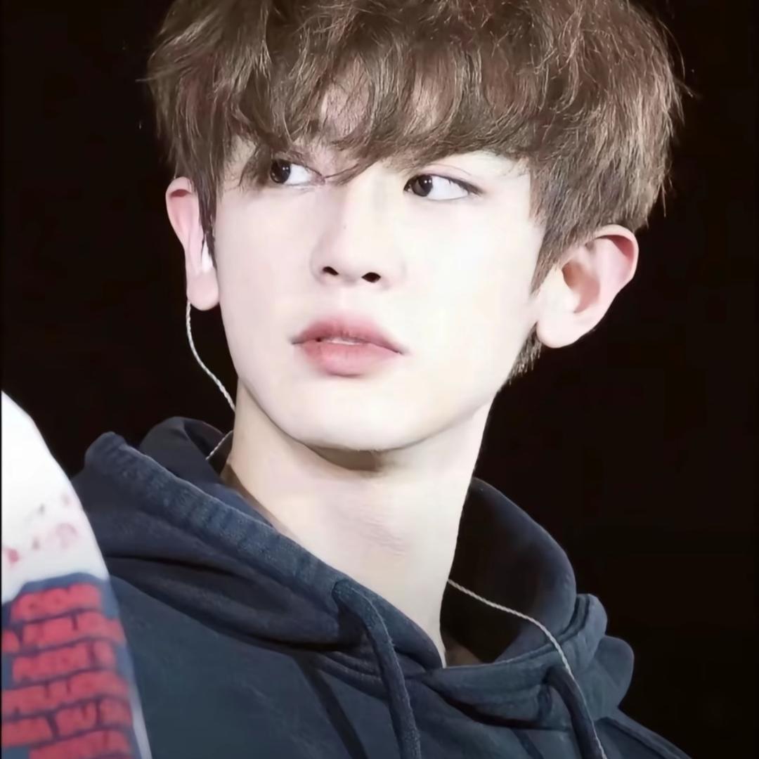 灿烈的小太阳Xo