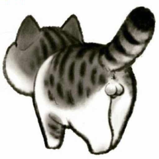 铃铛猫