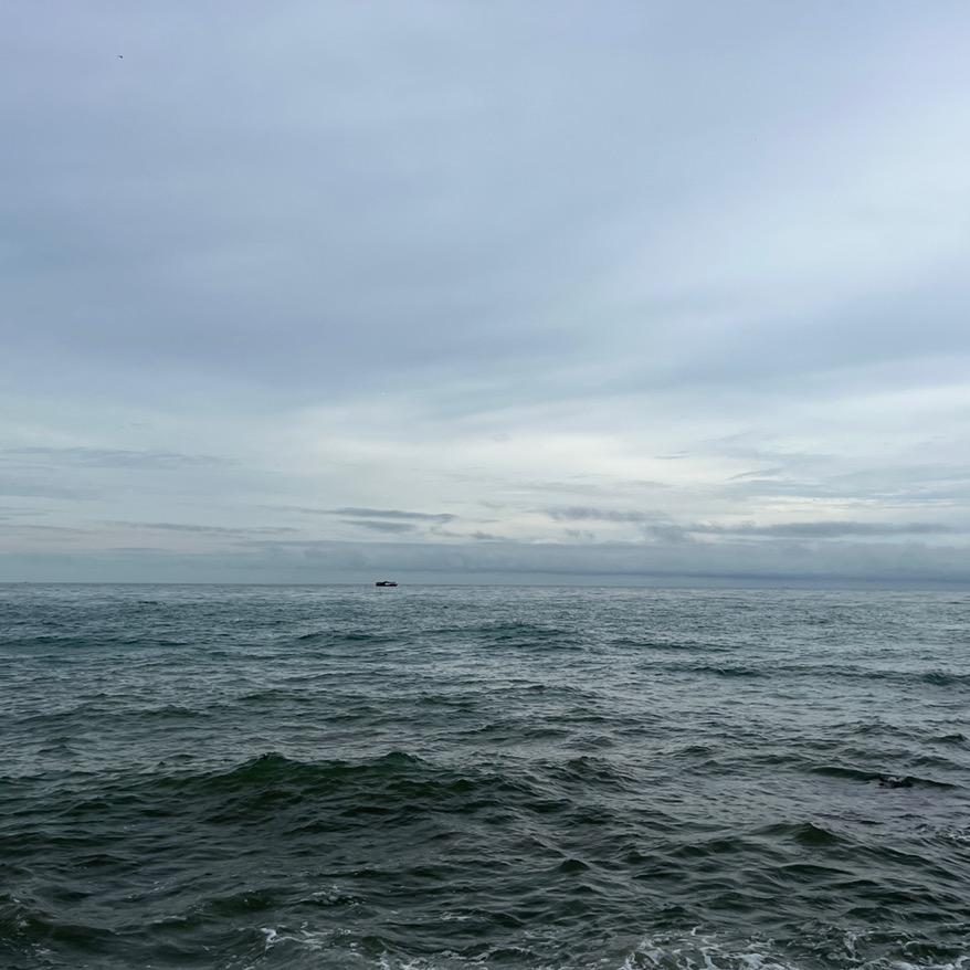 瑞谷释迦果、黄晶果