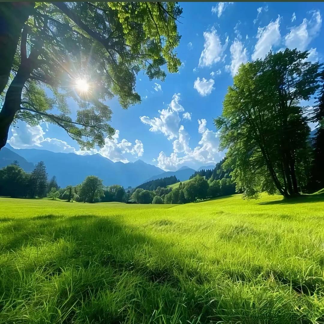 书意☀️