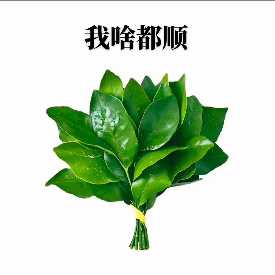 话说三遍淡如水