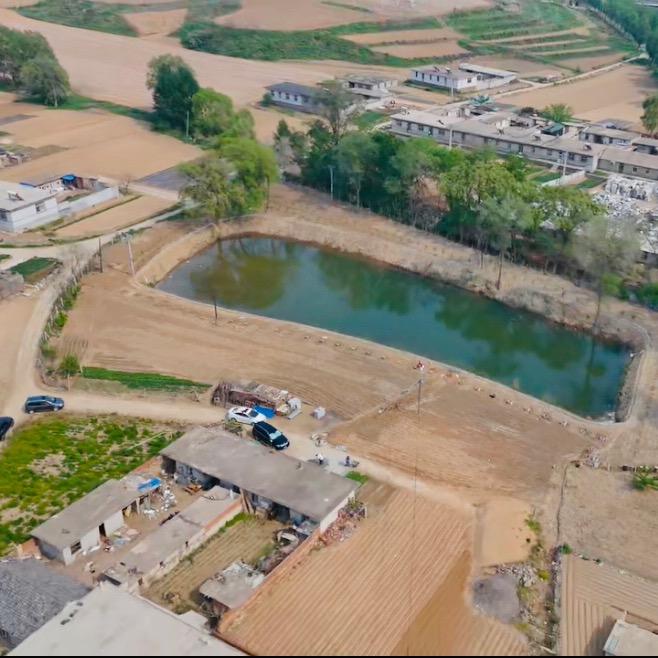 小杜的乡村历险记