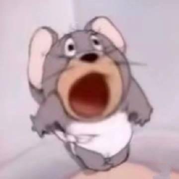 龙龙